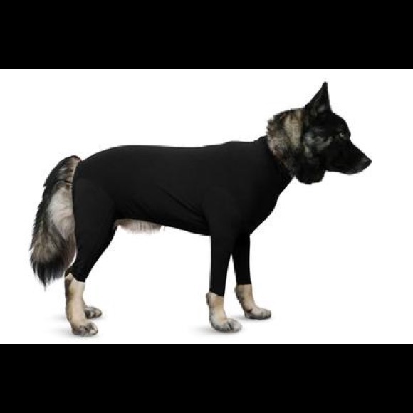 XS Shed Defender - Picture 2 of 2